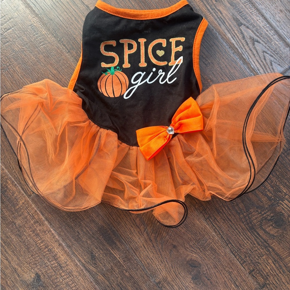 Spice Girl Small Dog Costume - Orange and Black